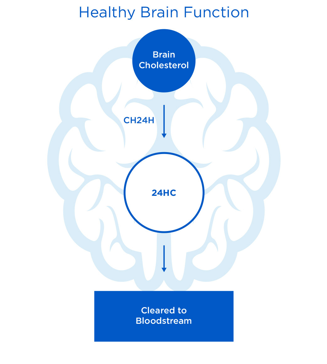 Angelman, Fragile X & Rare Epilepsy Therapies | Ovid Pipeline